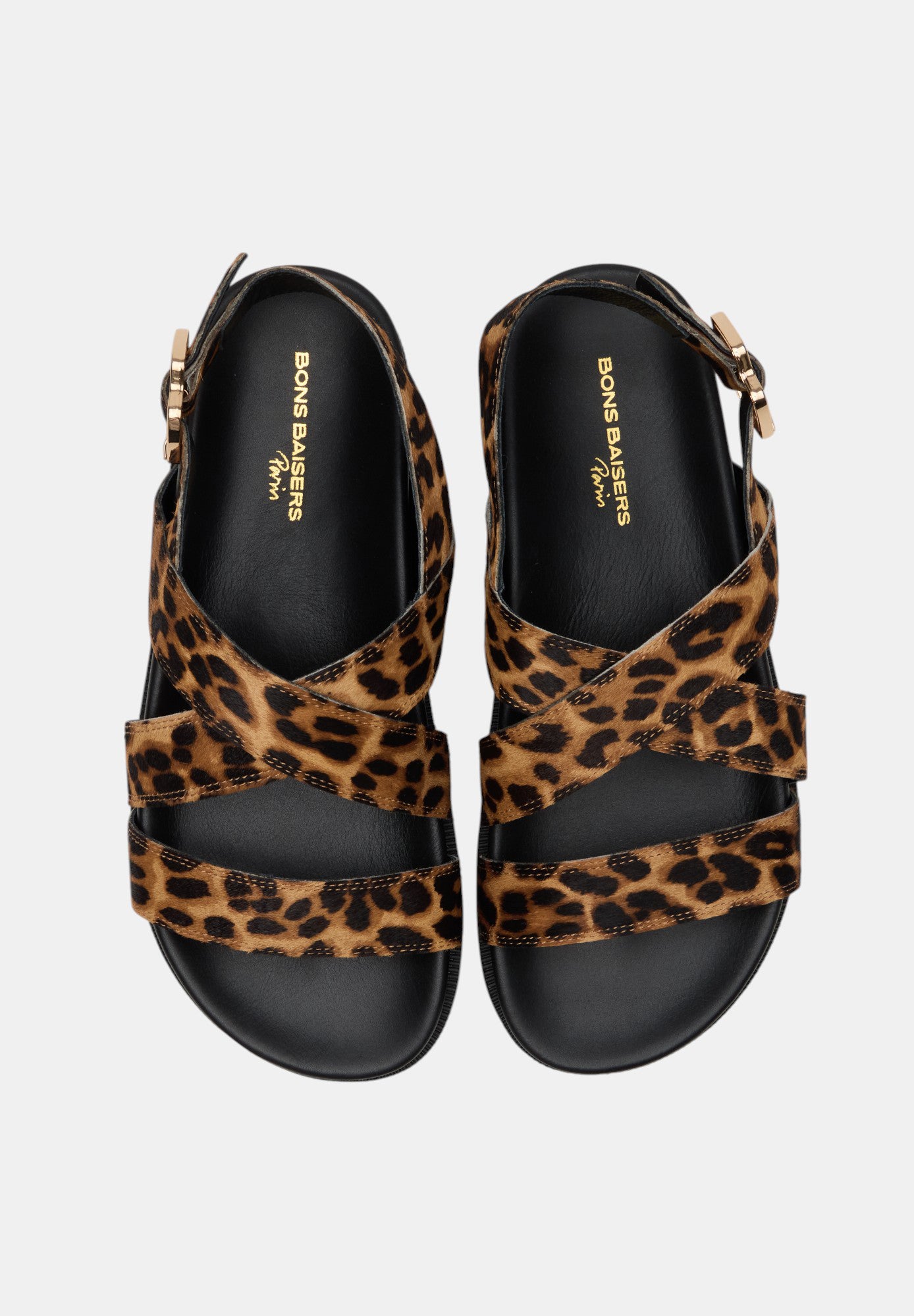 Marguerite-Cuir Leopard