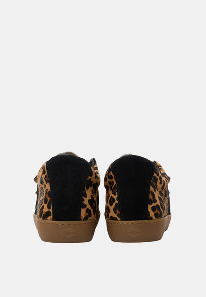 Baskets en cuir-Elisabeth-Leopard Noir
